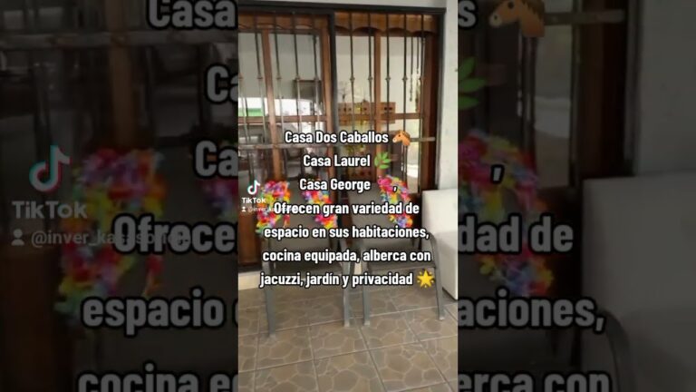Disfruta de la Privacidad en Fiestas con Jacuzzi