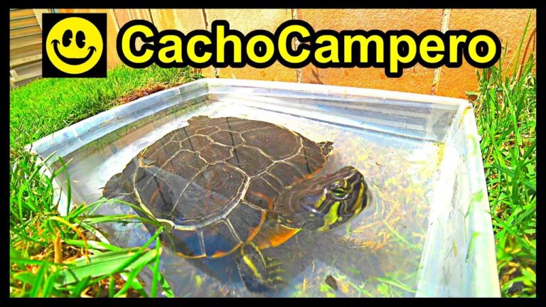 Disfrute ilimitado de un jacuzzi en el jard&iacute;n durante todo el a&ntilde;o